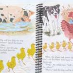 LITTLE RED HEN Journal Note..